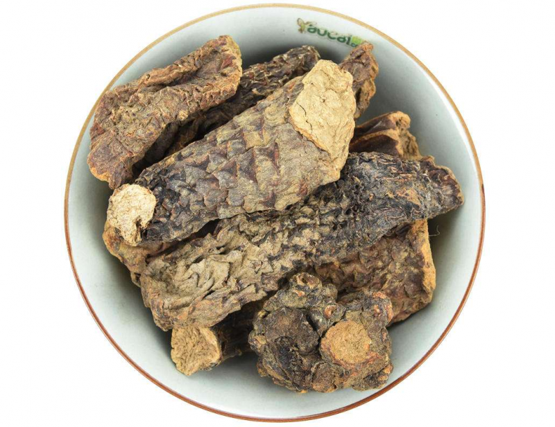 肉苁蓉能够直接吃吗
