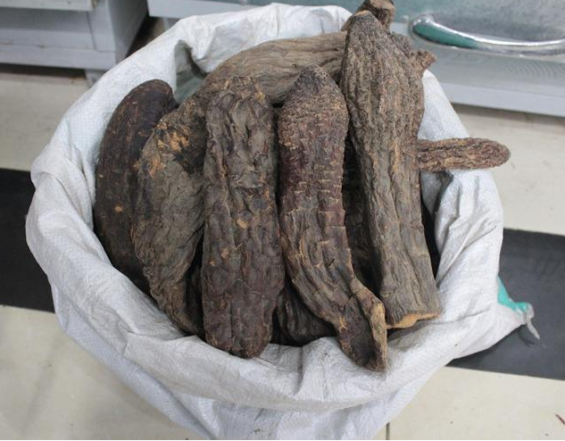 肉苁蓉的药理是什么