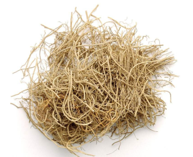 细辛的药用价值有哪些