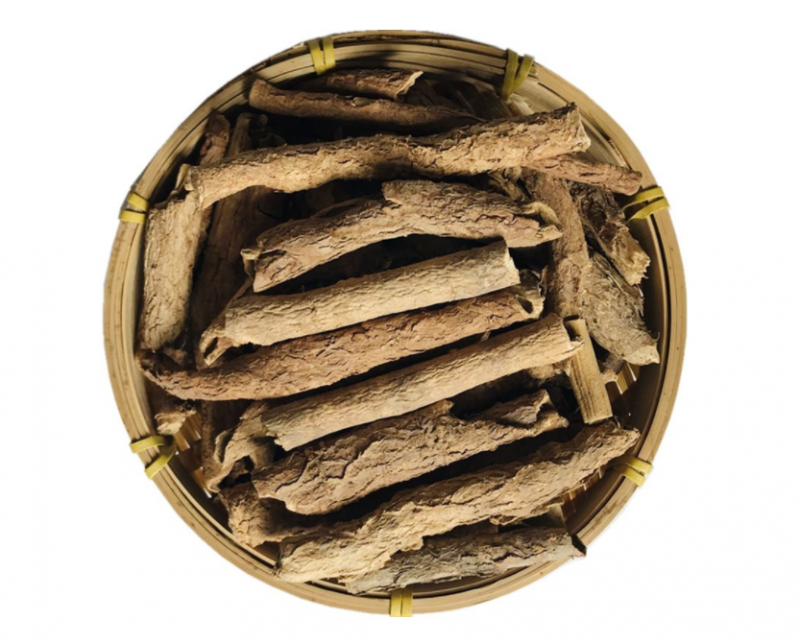五加皮药用价值有哪些呢