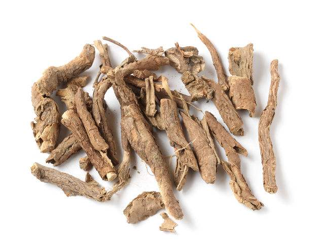 五加皮的药用价值有哪些