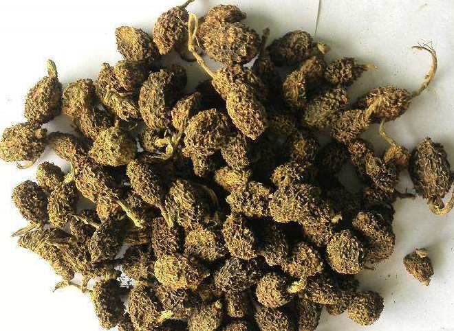 砂仁泡水喝什么好呢