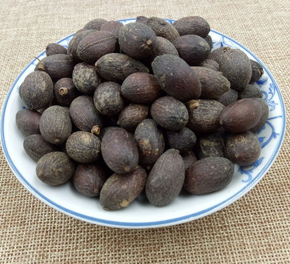 葵扇子的药用价值有什么?
