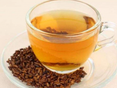 菊苣茶