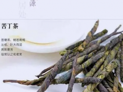 苦丁茶