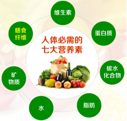 膳食纤维