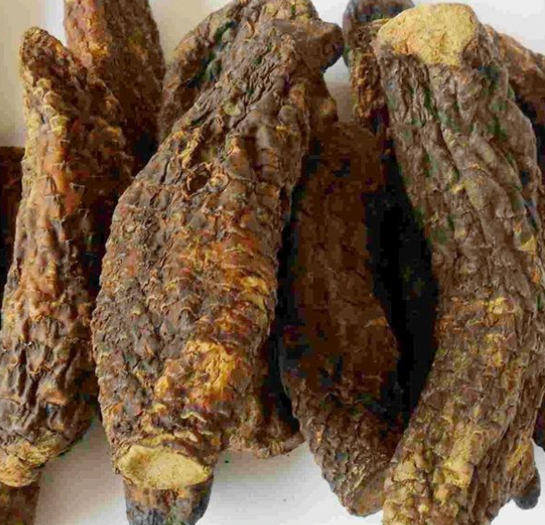 肉苁蓉外用可以吗？