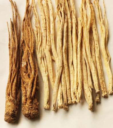当归怎么切片