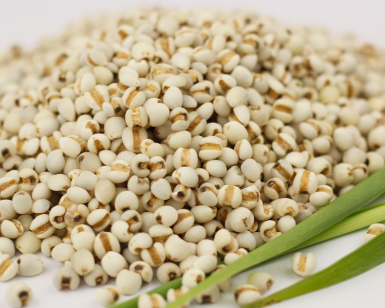 夏季适合喝绿豆薏米粥 绿豆薏米粥的做法