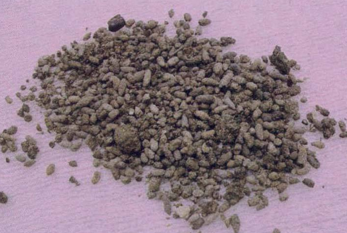 夜明砂的功效与作用有哪些？