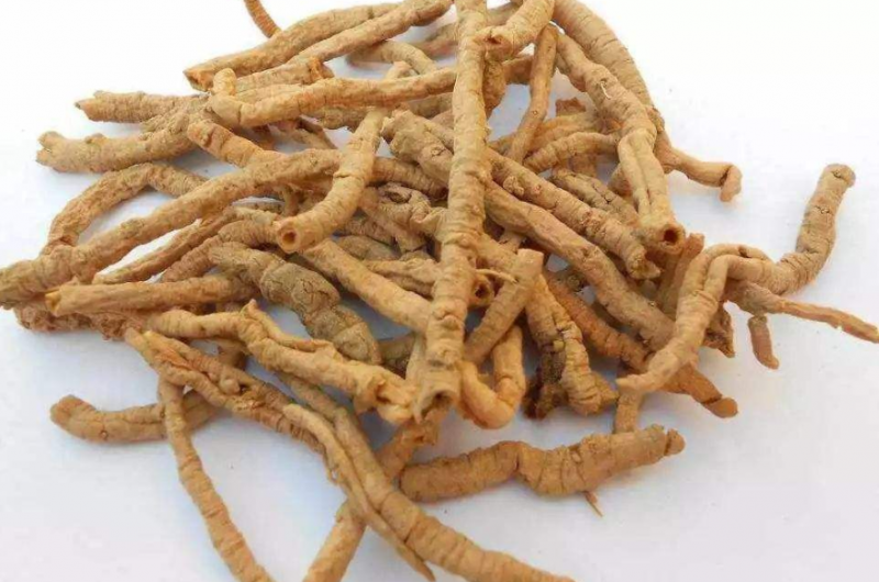远志的功效与作用是什么？