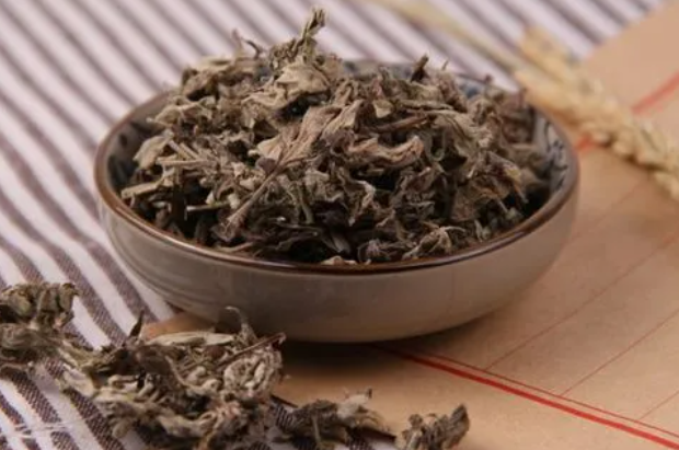 艾叶菖蒲的功效与作用