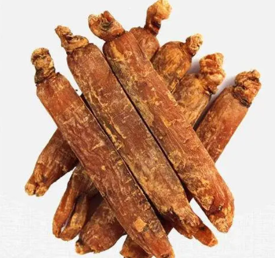 髙丽参的功效是什么