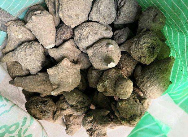 制附子最大用量是多少