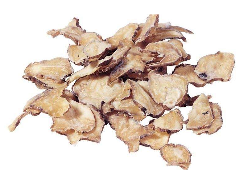 附子是什么东西呢