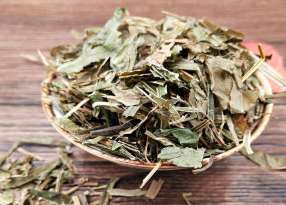 凤凰草的12种功效