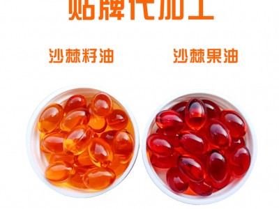 沙棘籽油凝胶糖果