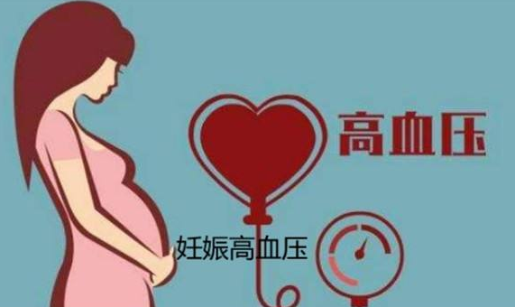 孕妇有高血压如何用饮食调理？
