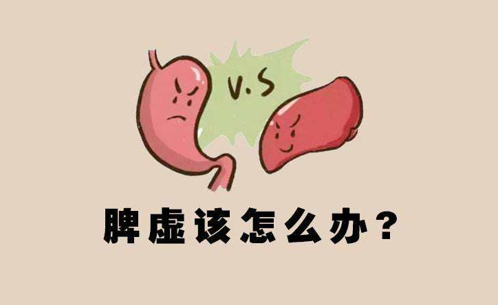 女人脾虚湿气重吃什么药