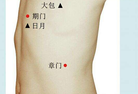 章门的功效与作用是什么 章门怎么简单取准确