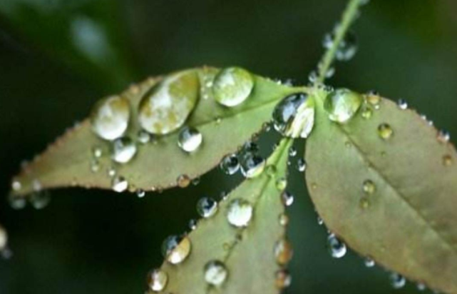立秋下雨好不好 立秋之后天气会有什么变化