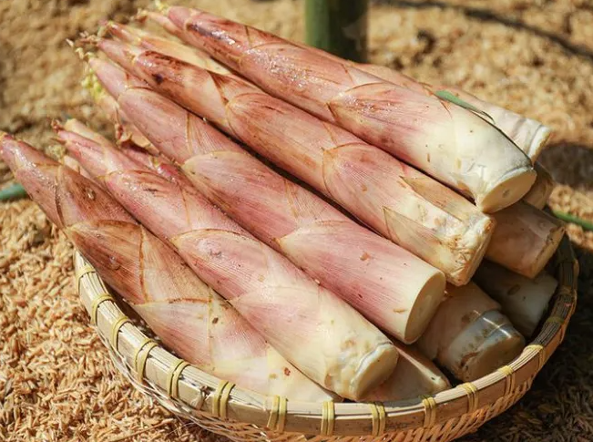 孕妇可以吃春笋吗 防便秘消水肿好处多