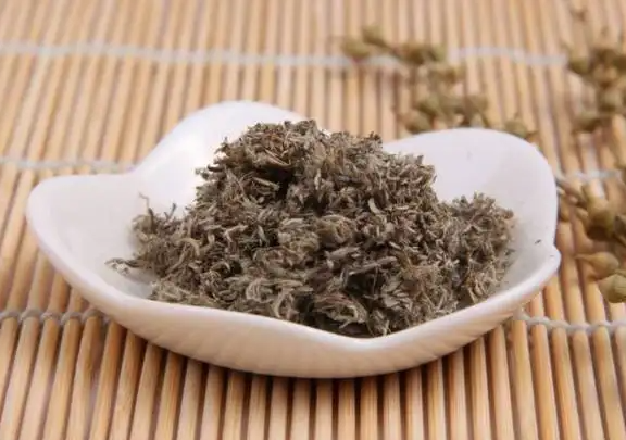 茵陳泡水每天能喝多少 茵陳茶什麼時候喝最好