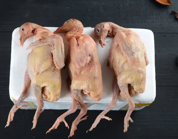 鸽子肉的营养价值及功效