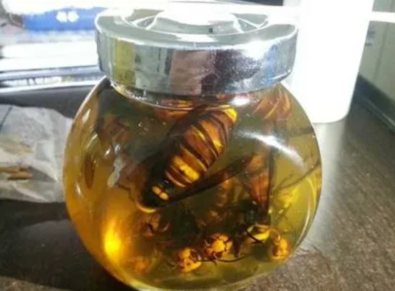 怎样泡药材酒？