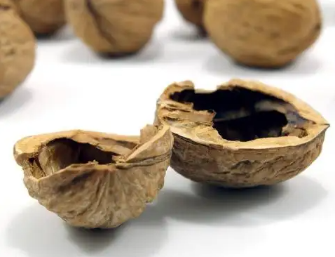 核桃壳的功效与作用