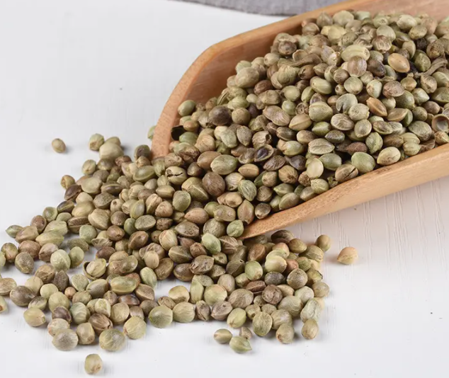火麻仁的功效与作用及食用方法