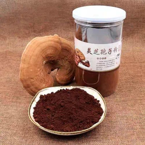 灵芝孢子粉胶囊招商代理 灵芝孢子粉批发厂家