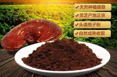 什么人不适合吃灵芝粉 灵芝孢子粉哪些人不能吃