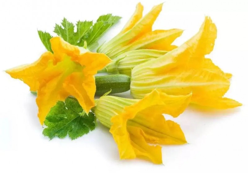 夏季清热解毒 来碗鸡蛋南瓜花汤