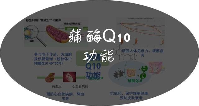 辅酶Q10有哪些功效？还能给女人带来这些好处，不妨了解下
