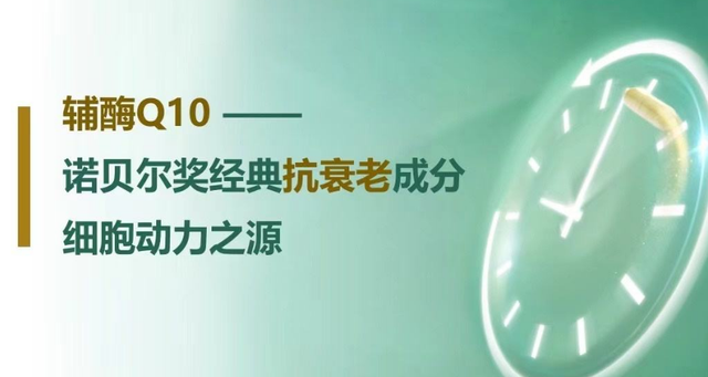 辅酶Q10