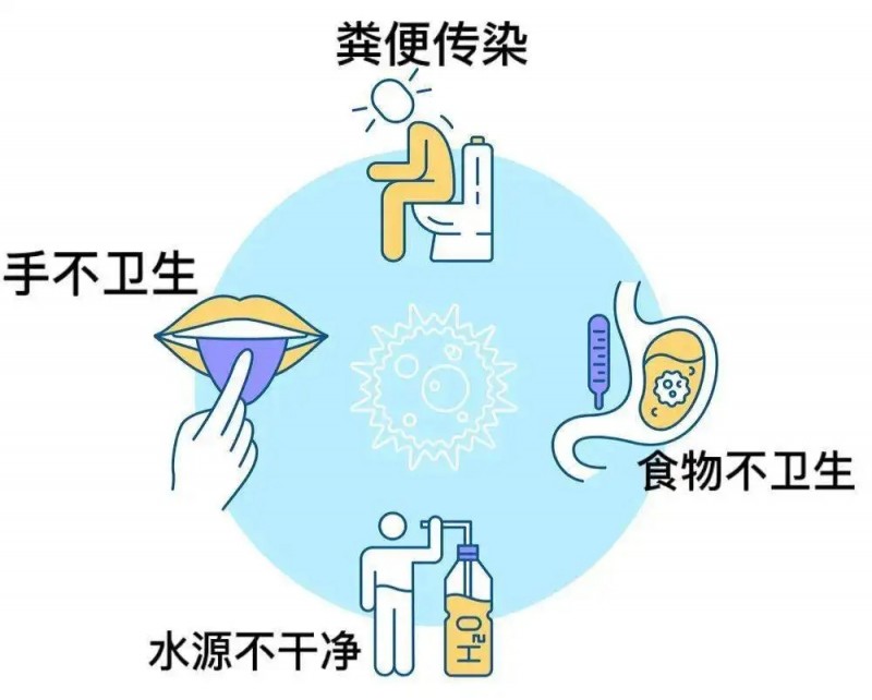 小心轮状病毒来袭！德拉小熊接骨木莓申请出战！