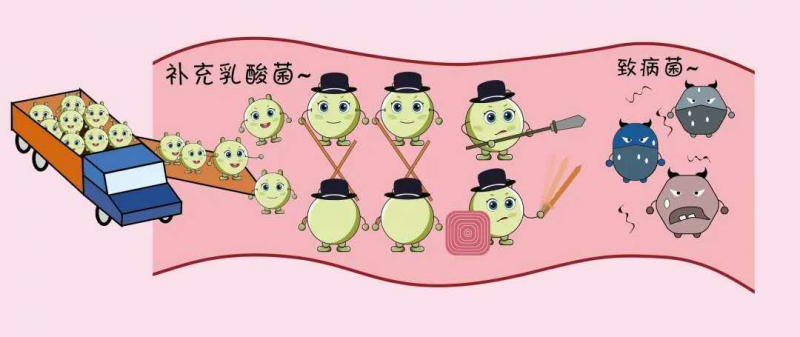 图片4