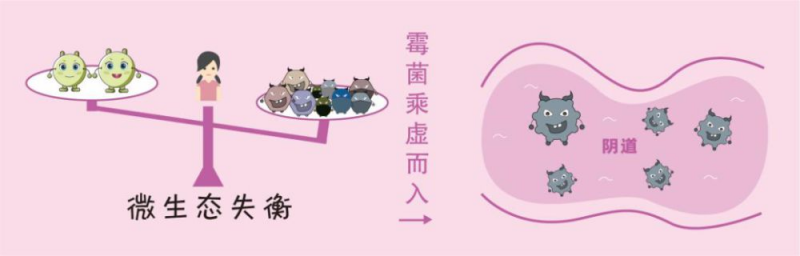 外阴瘙痒用什么药物治疗比较好霉菌性阴炎的症状用什么药效果好