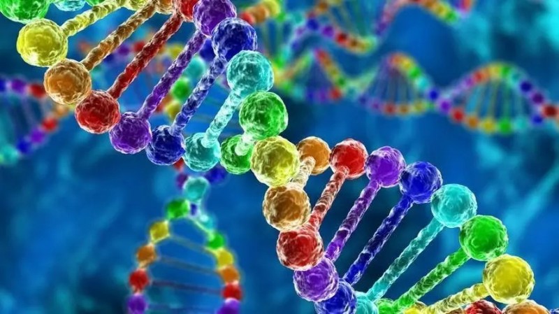 营养素与人体细胞,美卡熊二代营养素口溶膜片吸收更高效