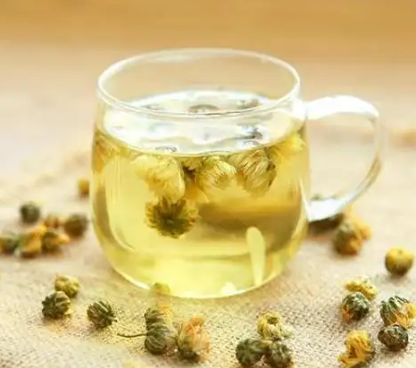 白菊花茶的功效与作用 菊花茶可以天天喝吗