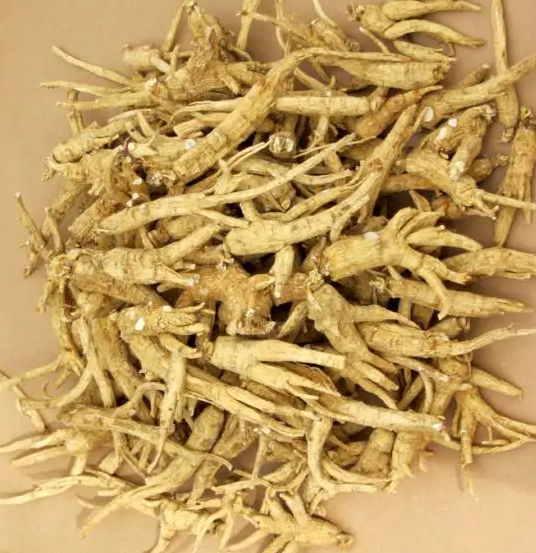 花旗参的功效与作用 花旗参的功效与作用