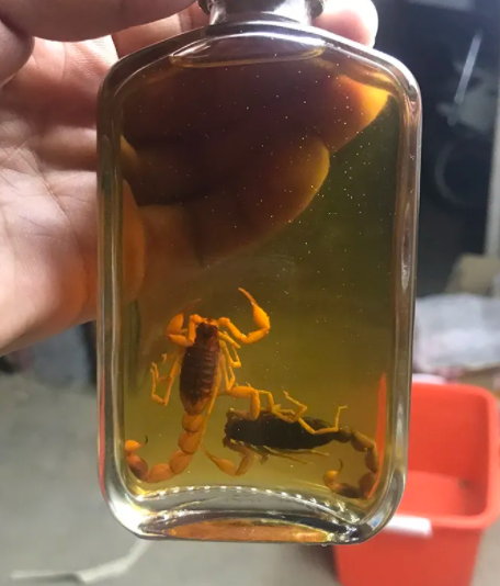 蝎子酒的功效与作用有哪些 蝎子泡酒有毒吗