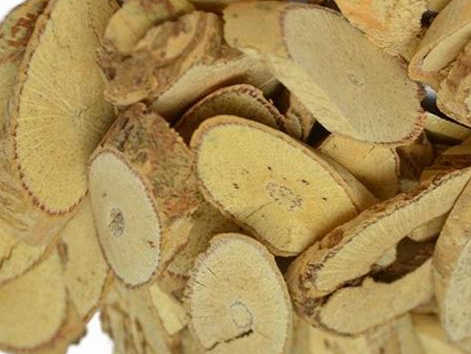 牙痈草的功效与作用 牙痈草的副作用