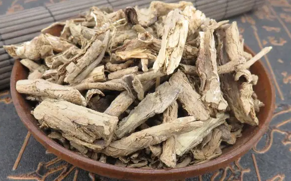 地骨皮的最佳配方 地骨皮的功效与作用