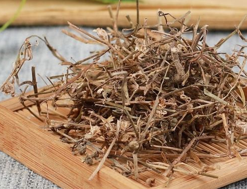 白花蛇舌草功效与作用 蛇舌草什么人不能喝