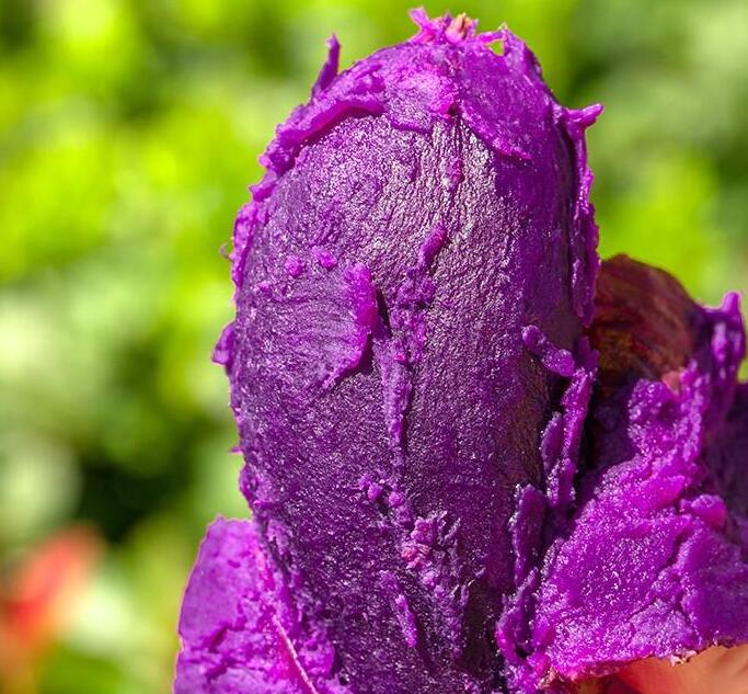 芋头和紫薯哪个减肥 芋头和紫薯哪个热量低