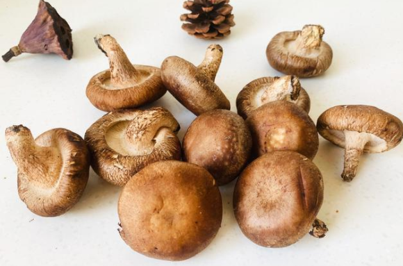 这4种食物随便吃绝不发胖 减肥管不住嘴的看过来