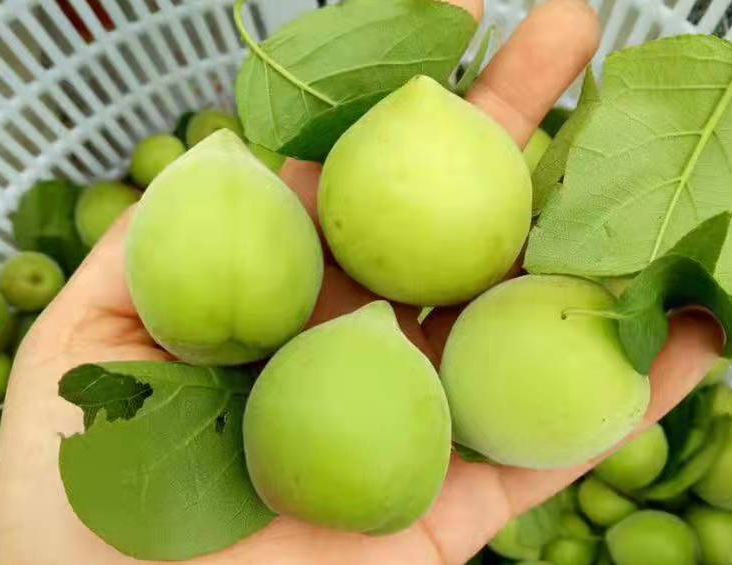减肥可以吃零食？6种零食任你吃也不会发胖