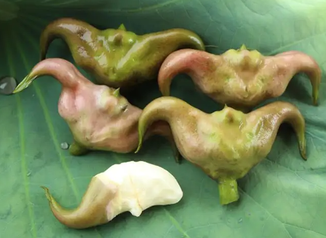 月经后多吃这4种食物 对女人减肥很有帮助